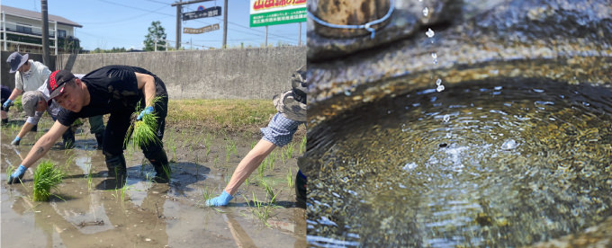 酒蔵体験ツアー | 日本酒・清酒「賀茂鶴」醸造元｜賀茂鶴酒造株式会社