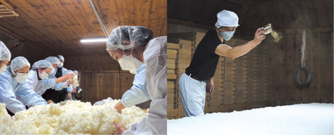 酒蔵体験ツアー | 日本酒・清酒「賀茂鶴」醸造元｜賀茂鶴酒造株式会社